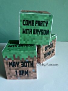 Minecraft Party Ideas [Full Party Plan!]
