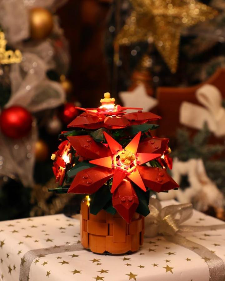 Red poinsettia brick build from @briksmax_2.0 with green leaves in tan planter pot.
