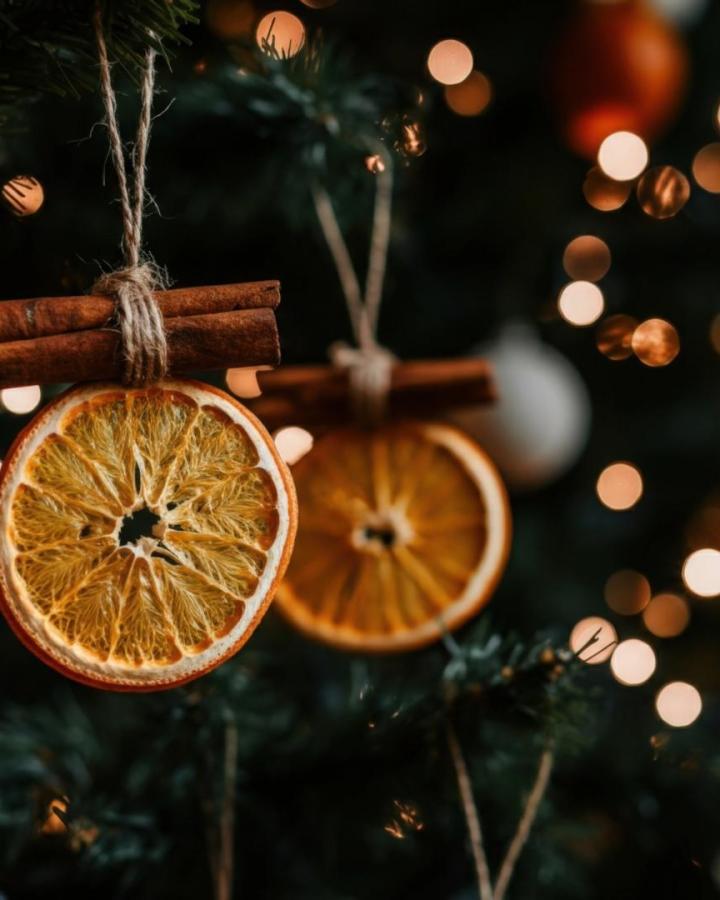 Dried orange slice and cinnamon stick ornament from @naturalgoodlife hanging on evergreen tree with bokeh lights.