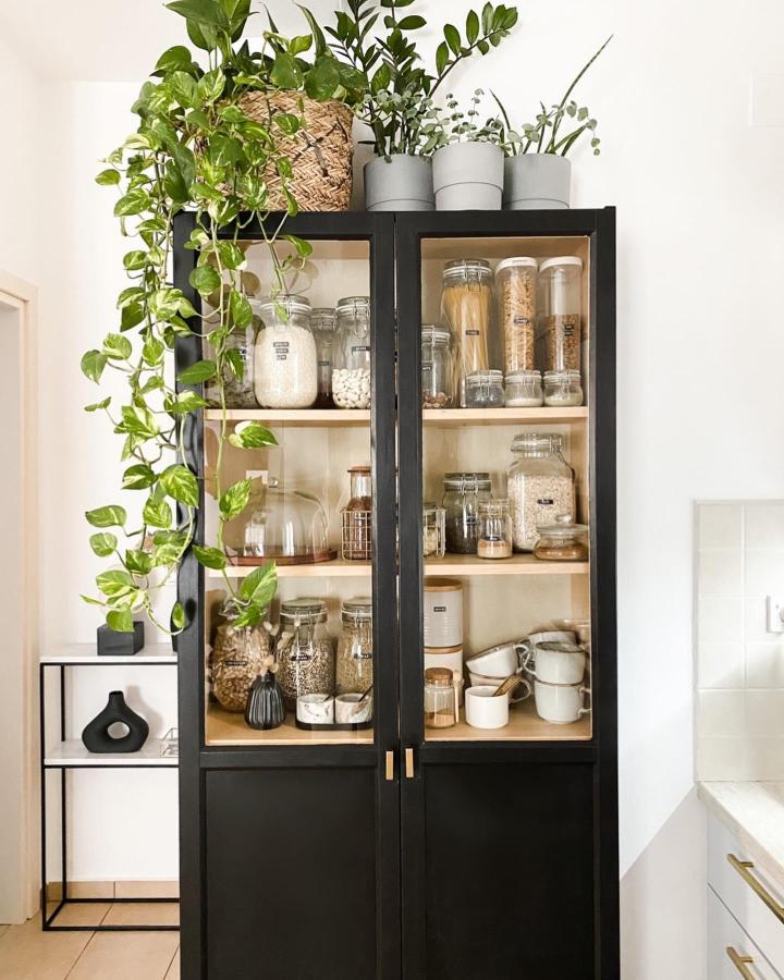 Matte black glass-front cabinet pantry from @eviegregoriadou. Labeled jars, plants above, sleek ikea pantry ideas styling.