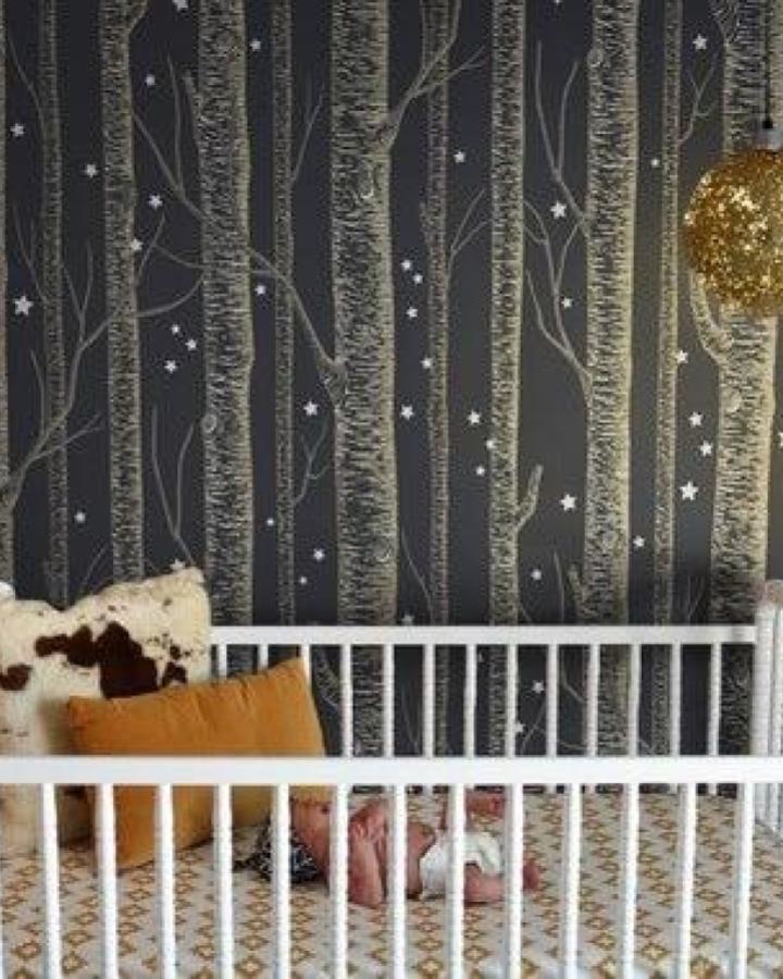 Dark charcoal birch tree peel & stick wallpaper ideas nursery wall with star accents from NouWall on Etsy.