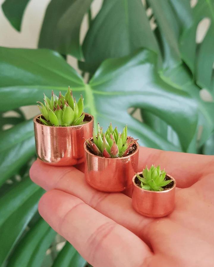 Small shiny copper succulent planter ideas with green plants held in a hand from Seedhouseplants in front of large green leaves.