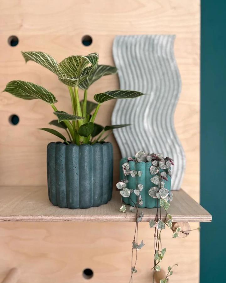 blue-green ribbed concrete planters on wooden shelf from concreteplantstore with leafy and trailing plants and wavy decor