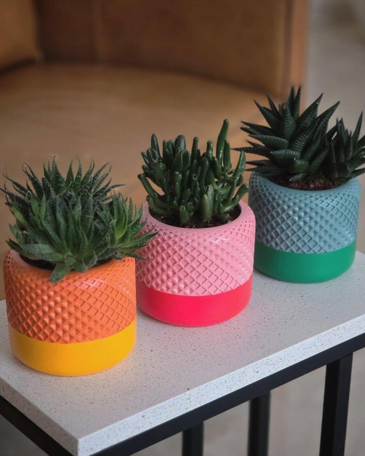 colorful textured ceramic succulent planter ideas from @concretist. Trio of vibrant pots on speckled white table with assorted succulents inside.