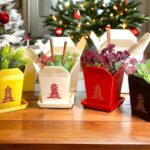 21 Succulent Planter Ideas That Elevate Any Living Space