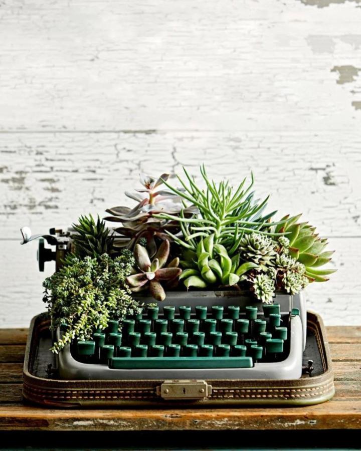 Vintage metal typewriter planter from MinimumDesign with lively succulents inside keys and frame for succulent planter ideas.