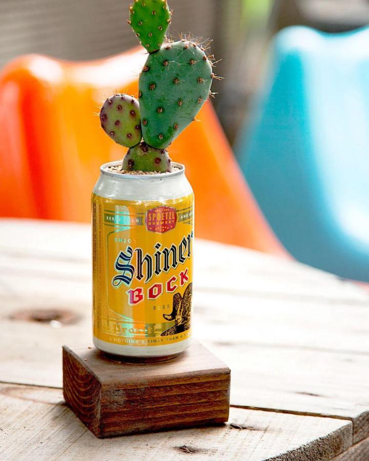 Yellow vintage beer can succulent planter on wooden block from BHG with bright green cactus and rustic feel.