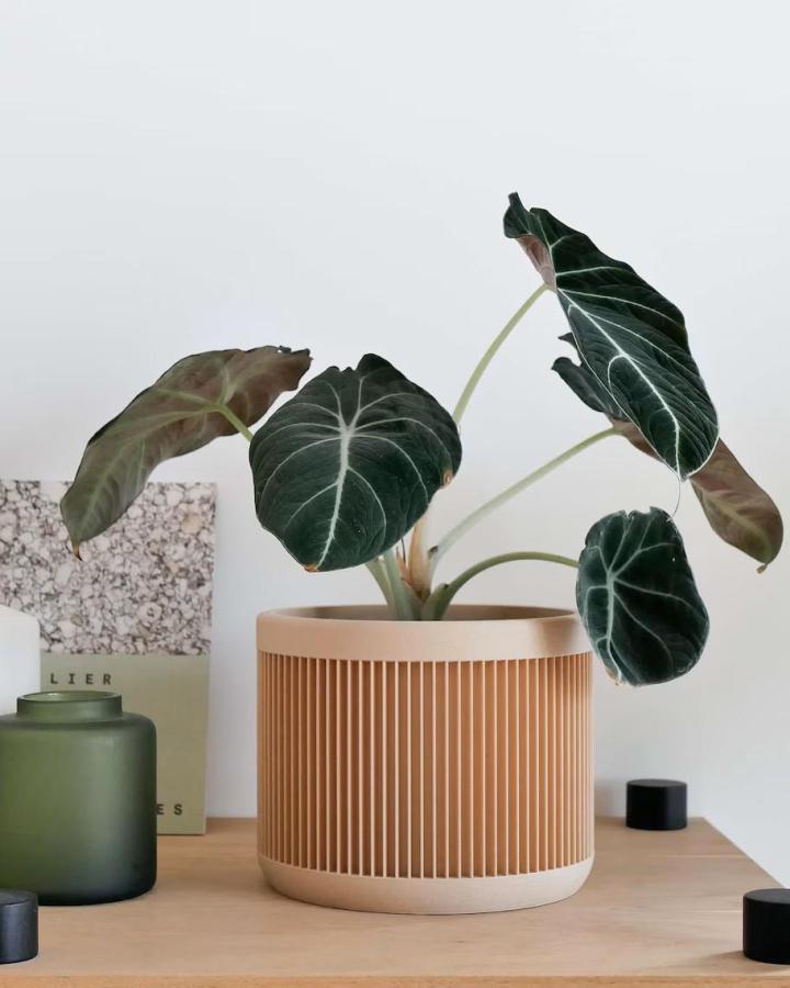 Beige ribbed ceramic planter from BHG with dark green foliage perfect for succulent planter ideas.