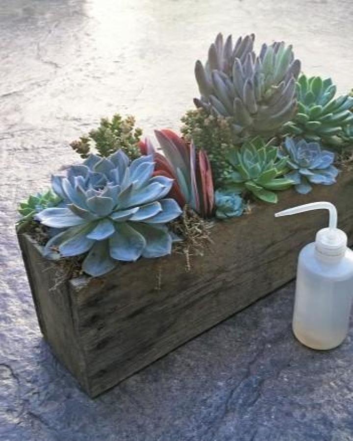 weathered wood rectangular planter from The Succulent Eclectic with various succulents in soft green and blue tones