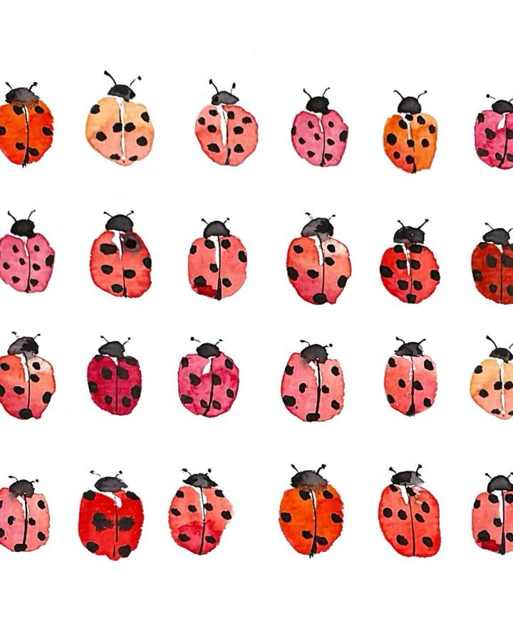 Watercolor ladybug crafts for adults pattern from @buntstykk with varied reds and pinks and soft black spots on white background.