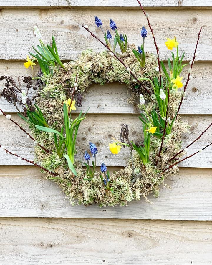 Mossy wreath with yellow daffodils, blue grape hyacinths, and pussy willow branches on wooden background from @buckingham_flower_farm spring wreath ideas.