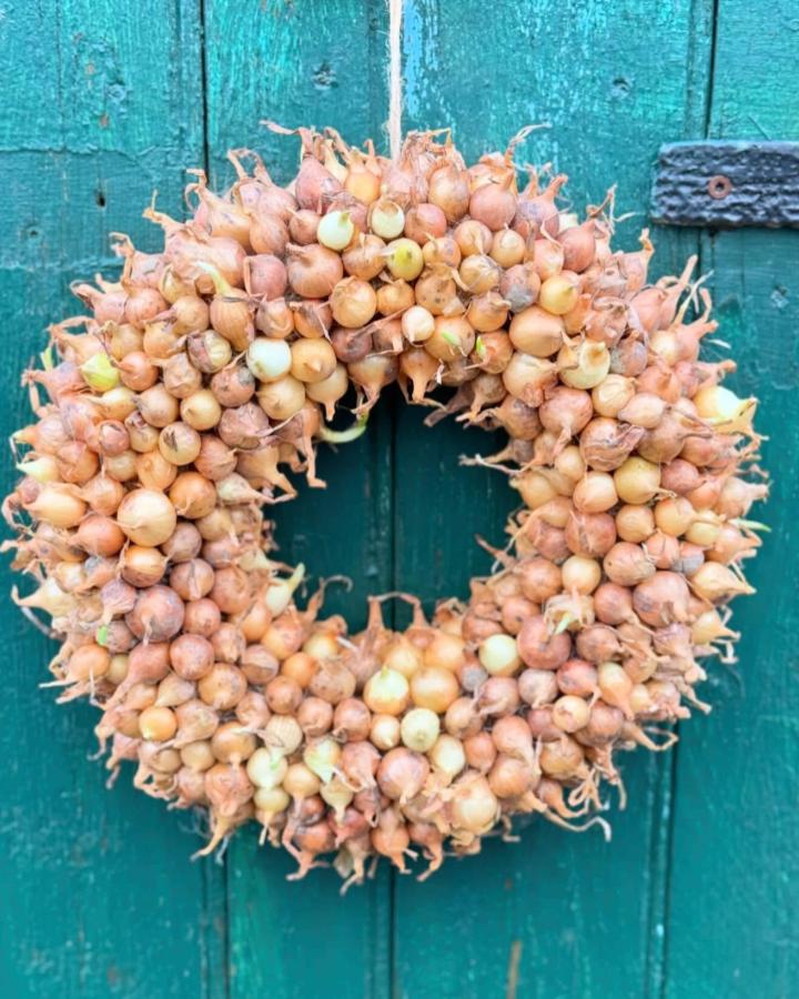 Onion bulb wreath on teal rustic door from @fraeuleinvintagezauber featuring natural textures for spring wreath ideas.