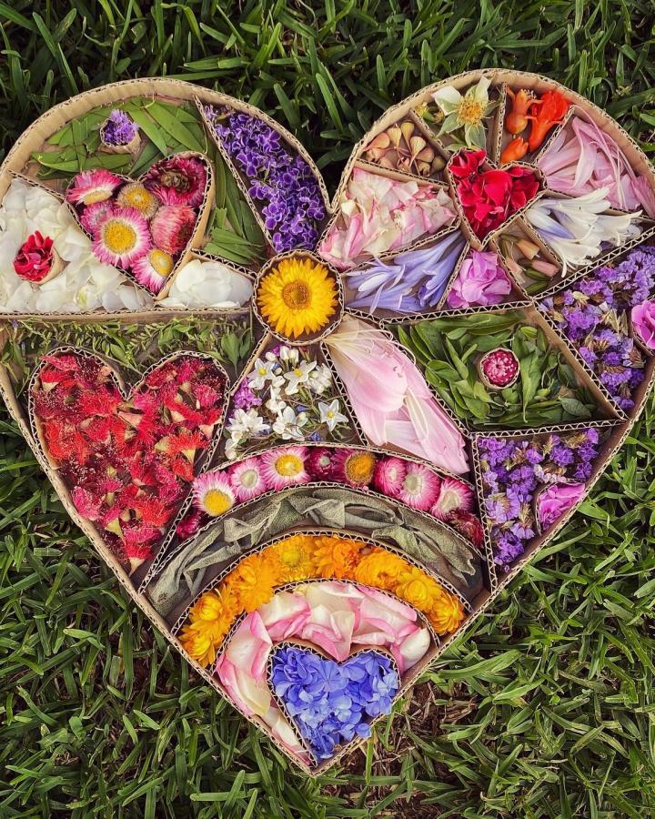 Natural colorful flower petal heart collage on grass made from cardboard for valentines crafts for kids by @palette_full_of_play.