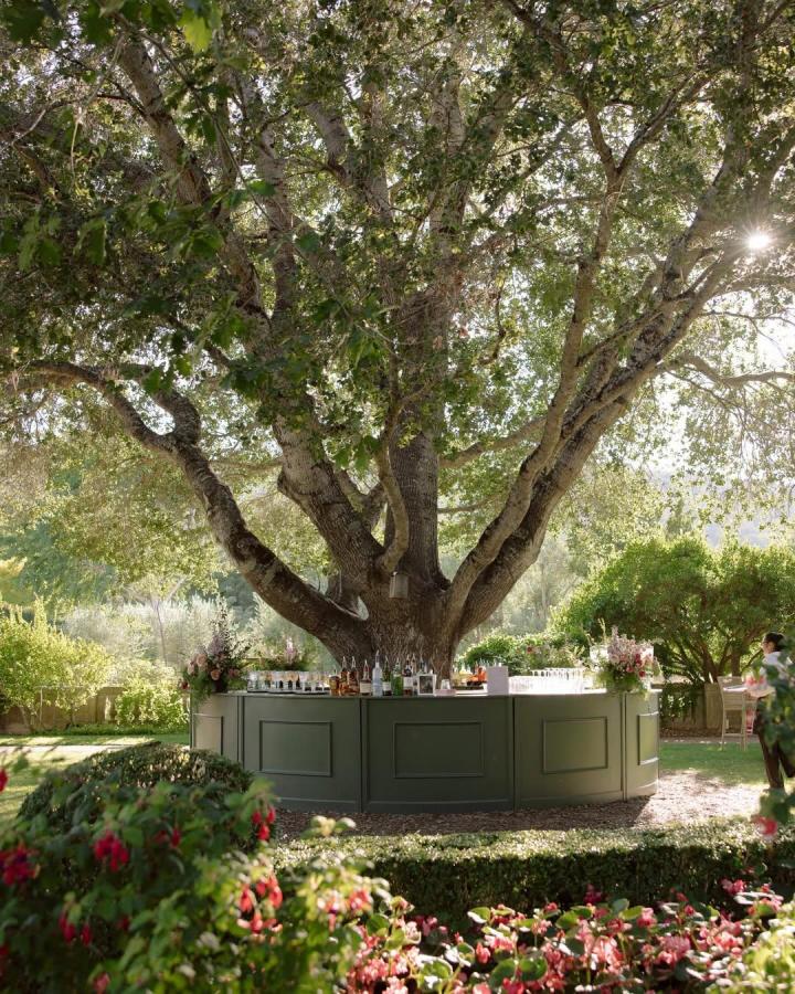 Olive-green curved outdoor wedding bar ideas from @byelise_events_ beneath a large tree with floral accents and natural light.