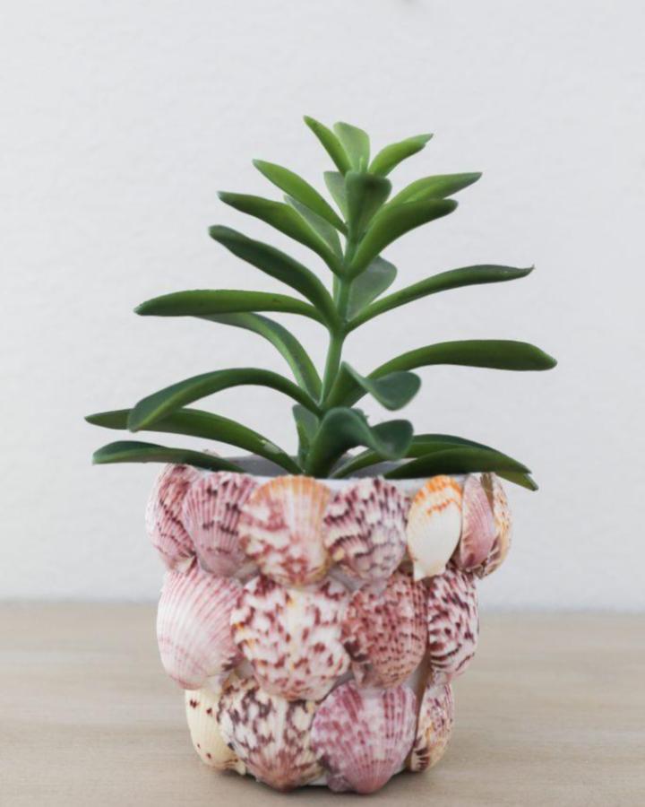 Pink and beige scallop shells cover a small succulent pot from house mix blog. Handmade coastal-inspired planter craft with natural textures.