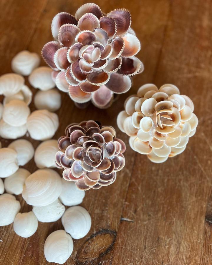 Pink and cream layered seashell flower arrangements on wooden surface by @mommysellsseashells. Delicate and rustic coastal-inspired craft.