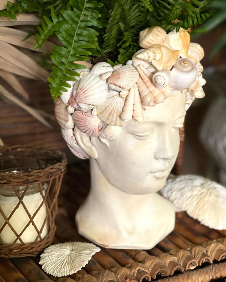 Cream and light pink seashells arranged on a white ceramic bust planter from @madebymolliesmom with green fern inside and natural wicker accents.