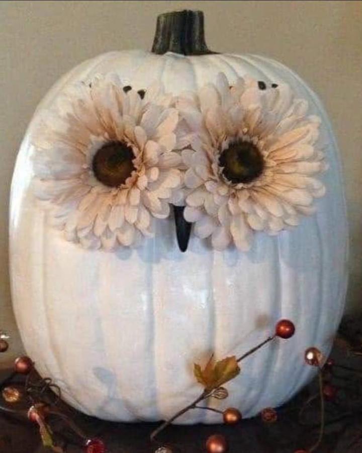 White painted pumpkin with cream flower eyes and black pumpkin stem by @nataliewood105 owl crafts for adults whimsical decor creative use of flowers.