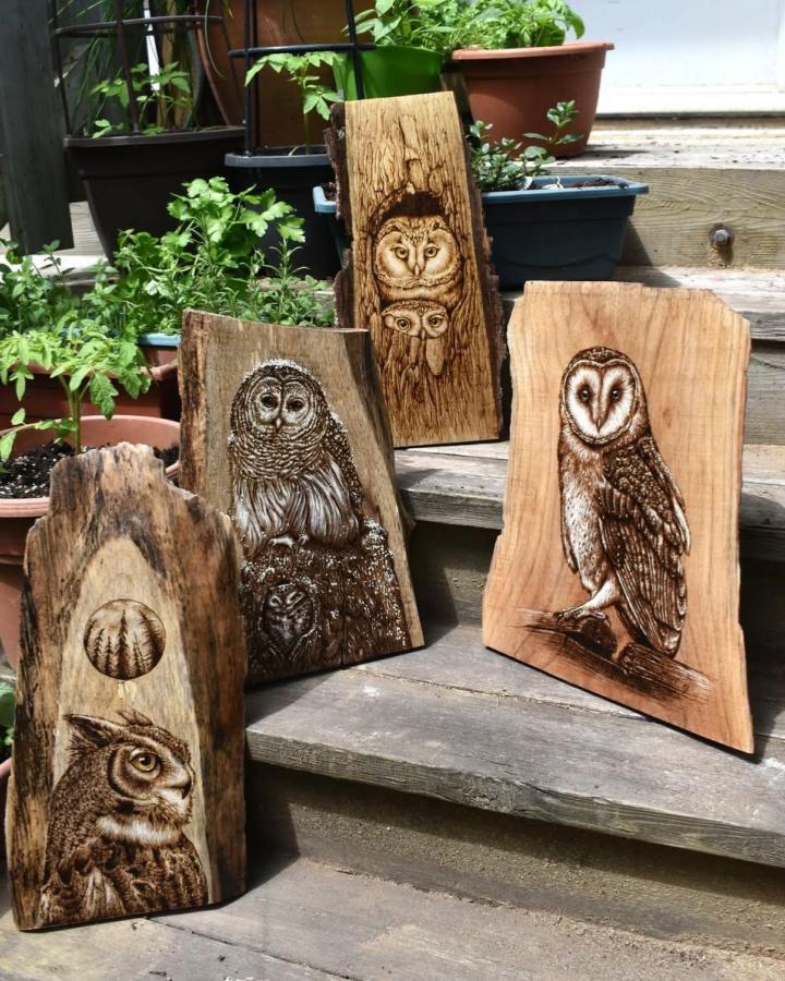 Burned wood panels with detailed owl illustrations from @carajordanpyrography showing rustic nature-inspired pyrography art.