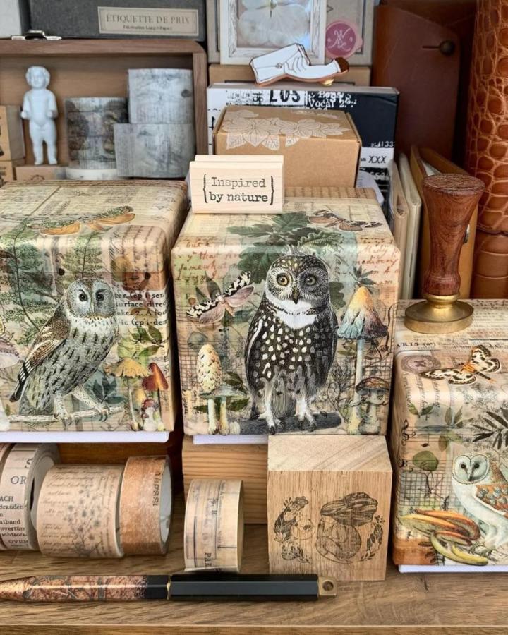 Muted vintage owl decoupage boxes with natural motifs and washi tapes from @cosycornercrafts. Rustic elegant adult craft project.