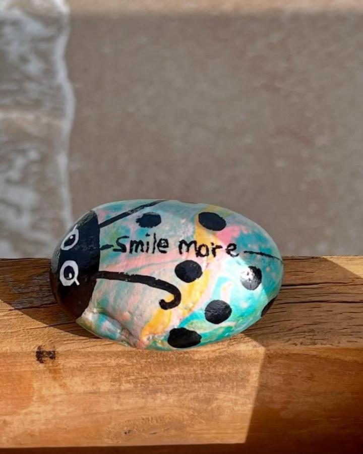 Pastel colorful hand-painted ladybug rock from @karmarocksjourney_ featuring black spots and a cheerful message on wood surface.