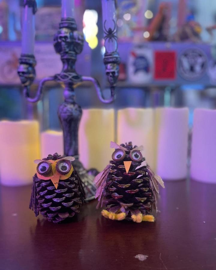 Brown pine cone owls with googly eyes and paper beaks by @thespokeeasyclt. Cute hand-crafted woodland decorations.