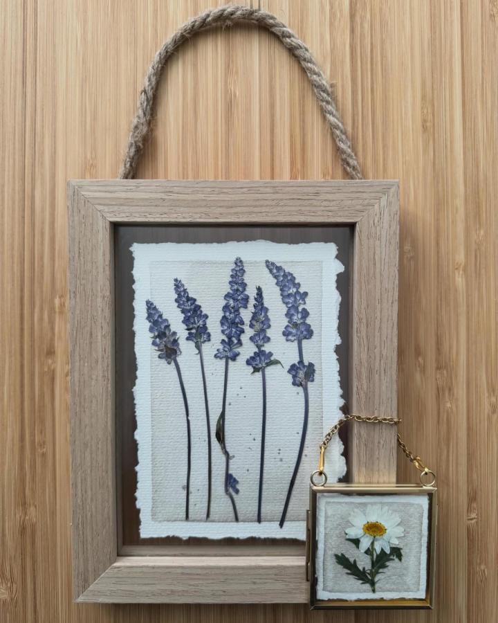 Natural pressed lavender and daisy artwork framed in rustic wood and brass from @the.lilac.tree showcasing floral craft creativity.