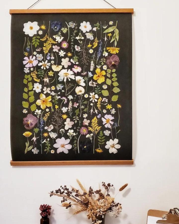 Pressed delicate flowers arranged in vertical rows on a black background wall hanging by @jillmargoherbarium. Bright and soft floral collage art.