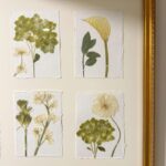 20 Pressed Flower Art Ideas for Botanical Keepsakes