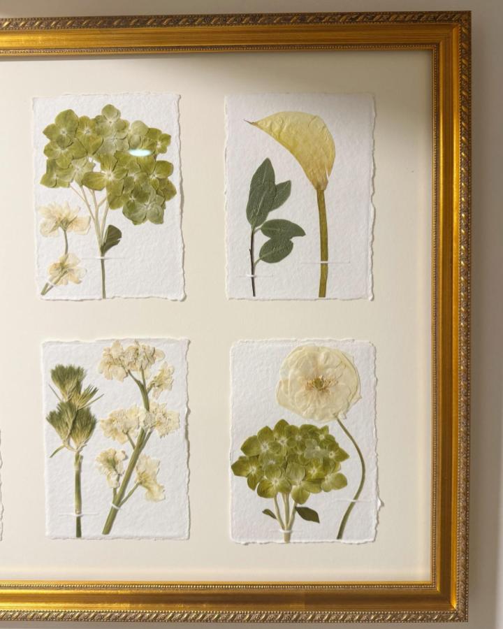 Green and pale yellow pressed flower collages on handmade white paper by @theprintedpaige framed in gold conveying a natural and vintage aesthetic.