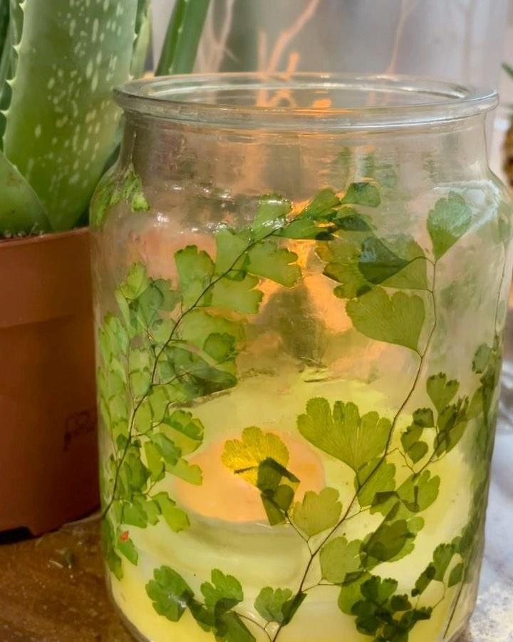 Green fern leaf candle jar from @botanicalanarchist. Translucent natural leaves pressed on glass creating warm ambient light.