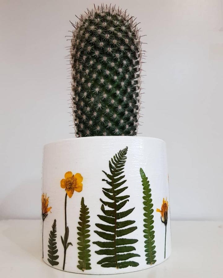 White planter with pressed fern leaves and yellow flower decorations from @ecoulthamdesigns. Cactus in the center adds contrast and texture.