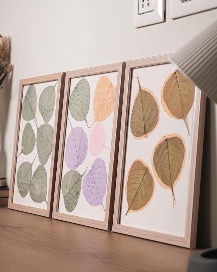 Muted and pastel-colored leaf wall art from @coastalhabitat.co. Framed botanical leaves arranged in three panels on a wooden tabletop.