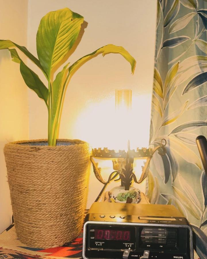 Natural fiber wrapped plant pot with leafy greenery from @green_home.ma. Cozy and earthy texture enhancing room decor.