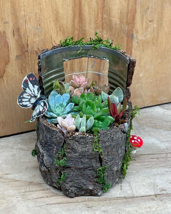 Rustic bark-covered planter with colorful succulents and a cutout window detail from @stage_road_succulents. Natural woodland look.