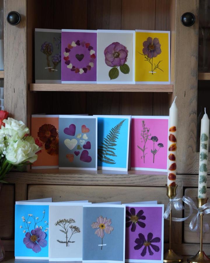 Pressed flower greeting cards on colorful paper by @jjswildflowerpress. Vibrant botanical designs staged on wooden shelves with candles.