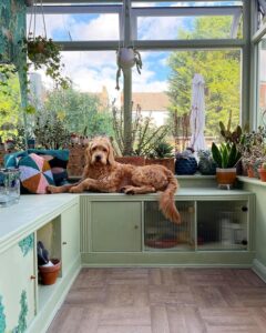 Sage green built in seating and storage with ribbed glass doors and brass knobs from @its.melissa.ritchie surrounded by plants and cushions.