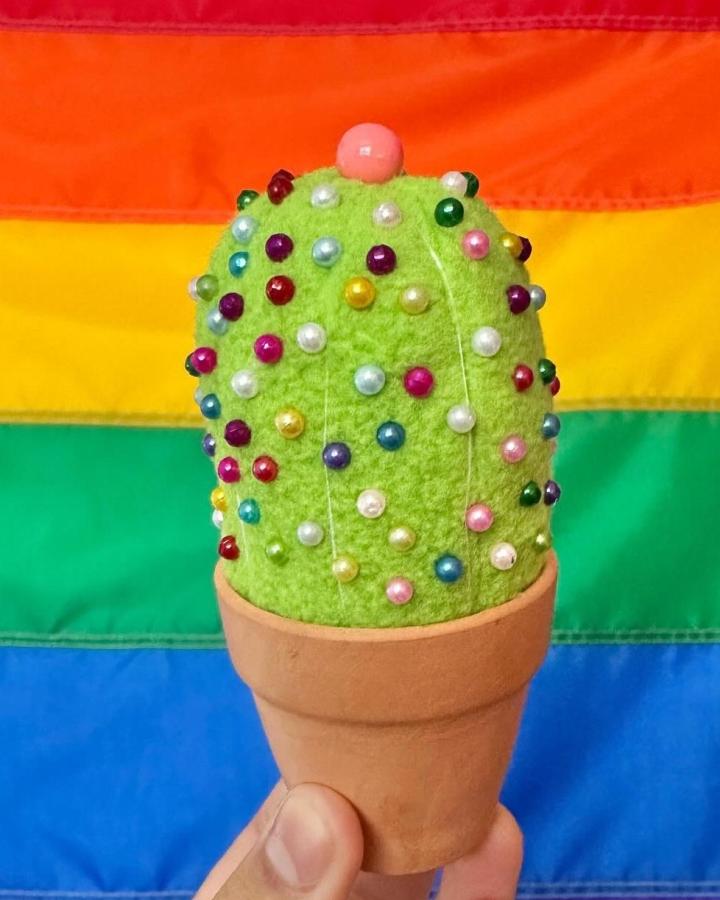 Bright green felt cactus pin cushion with multicolored beads in a terracotta pot crafts by @roobzmakesstuff against rainbow background. Terracotta pot crafts.