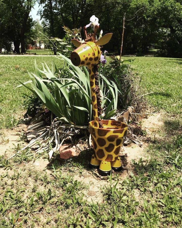Yellow and brown hand-painted pot sculpture in a garden from @gorgeoususedgarbage showing a giraffe-inspired planter with added ears and horns.