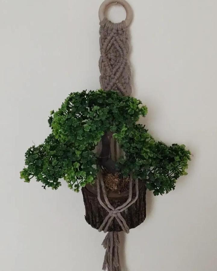 Taupe macramé diy macrame plant hanger from @bluebells_handmade. Wooden ring, leafy plant, and braided fringe.