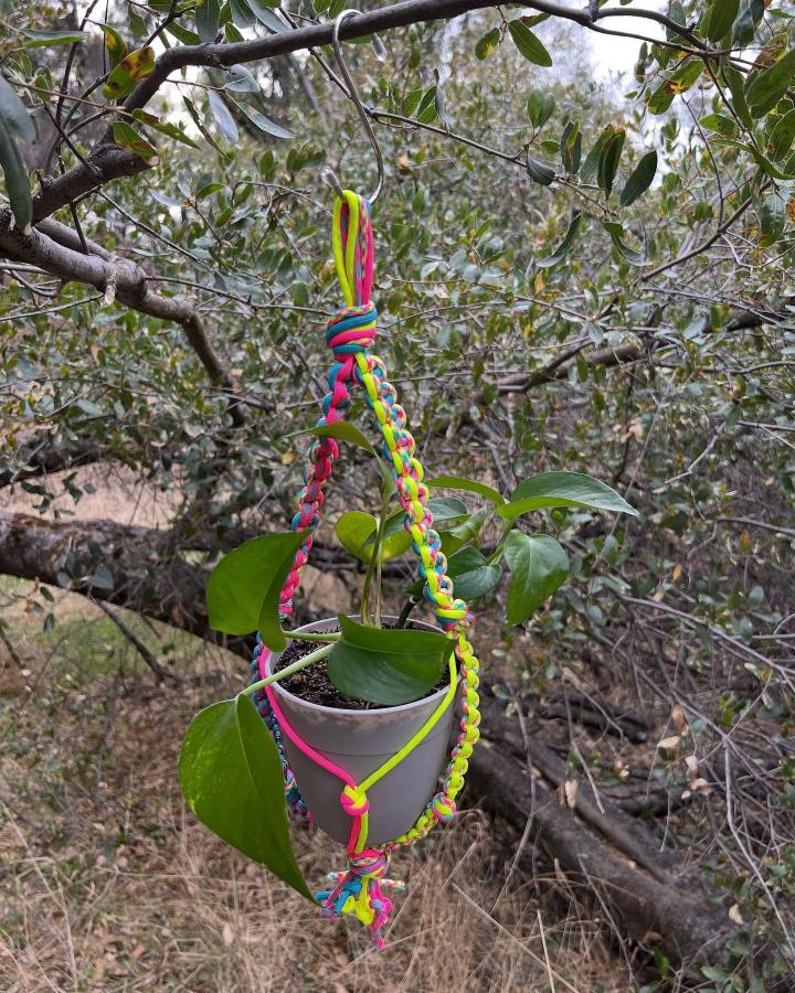 Neon braided outdoor plant hanger from @mermaidenmountain. Gray pot surrounded by leafy branches.