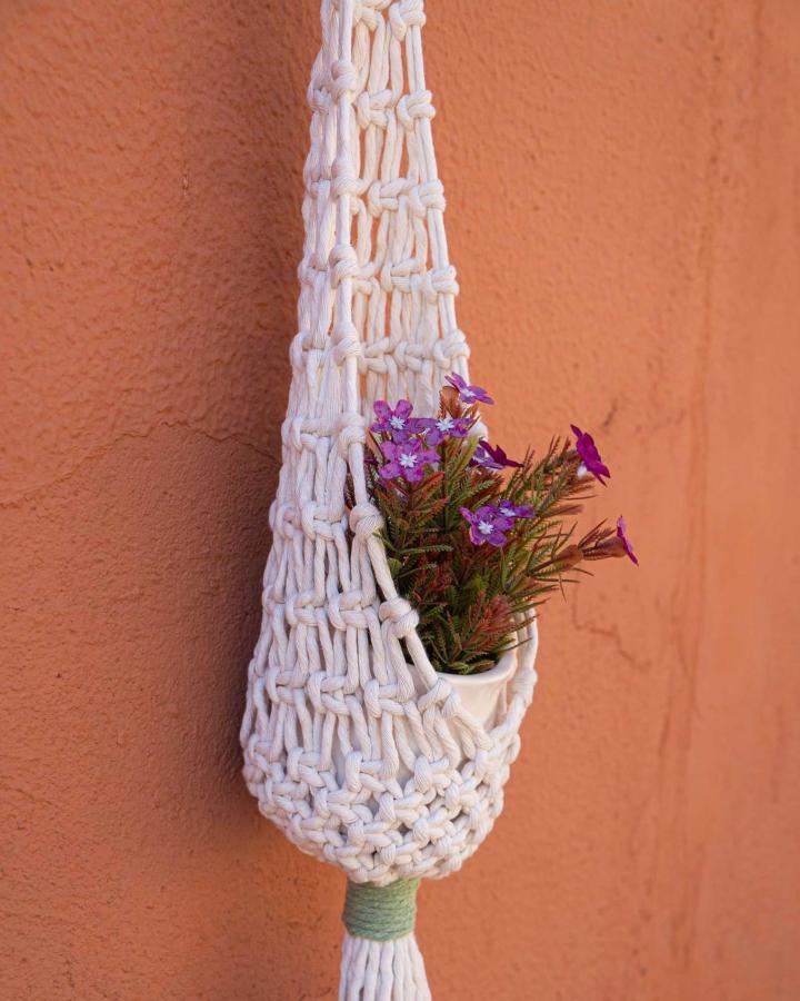 Cream cotton diy macrame plant hanger from @florsalmercat. Knotted basket holds purple flowers.