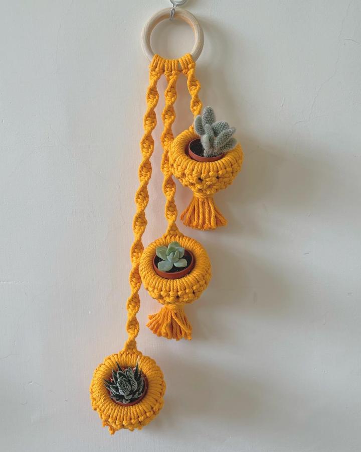 Mustard yellow knotted wall plant hanger from @veren_diy. Three suspended succulent pots with tassels.
