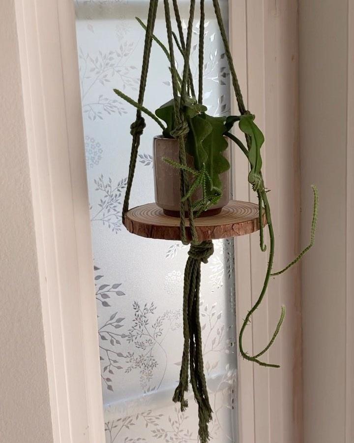 Olive green macrame plant hanger from @craftyquart. Natural wood shelf holds a leafy potted plant by a frosted window.