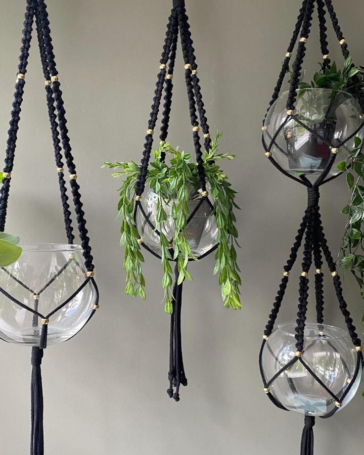 Black knotted glass globe plant hangers from @plurque_com. Gold beads cradle trailing greenery against a neutral wall.