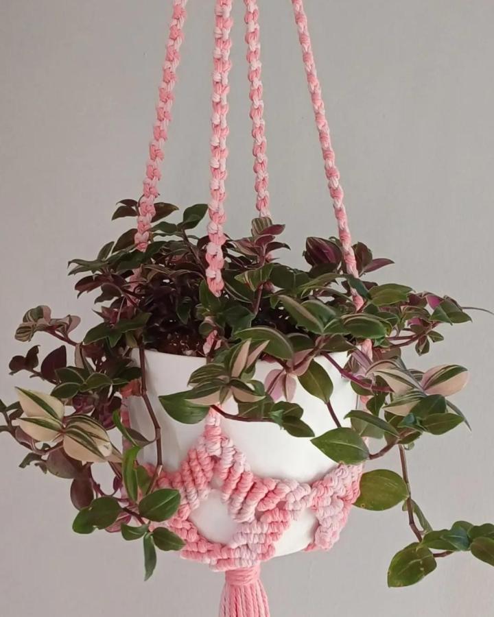 Pink braided living-room diy macrame plant hanger from @macrame_jungle_. White pot with trailing green and burgundy foliage.