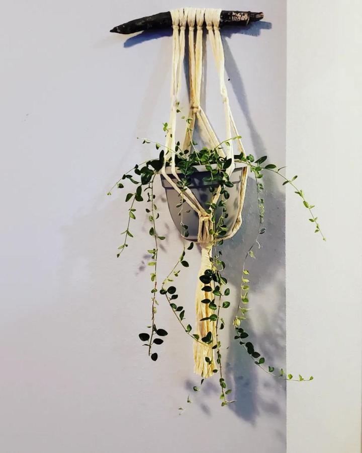Cream macramé wall plant hanger from @bivie_adhd_crafts. Cascading vines surround a woven pot cradle.