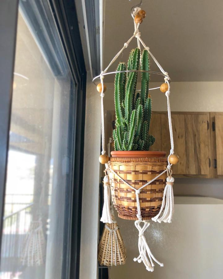 Cream macrame window plant hanger from @marenmakesit_. Woven basket, cactus, wooden beads, and tasseled cords.