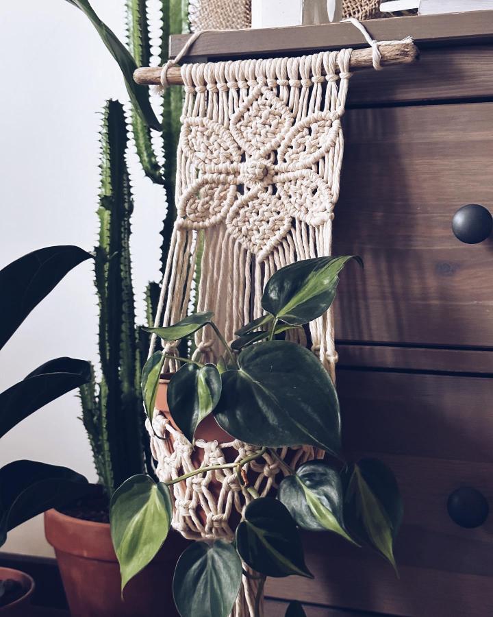 Creamy cotton macrame plant hanger from @macramessage. Diamond knots cradle a trailing green plant beside dark wood.