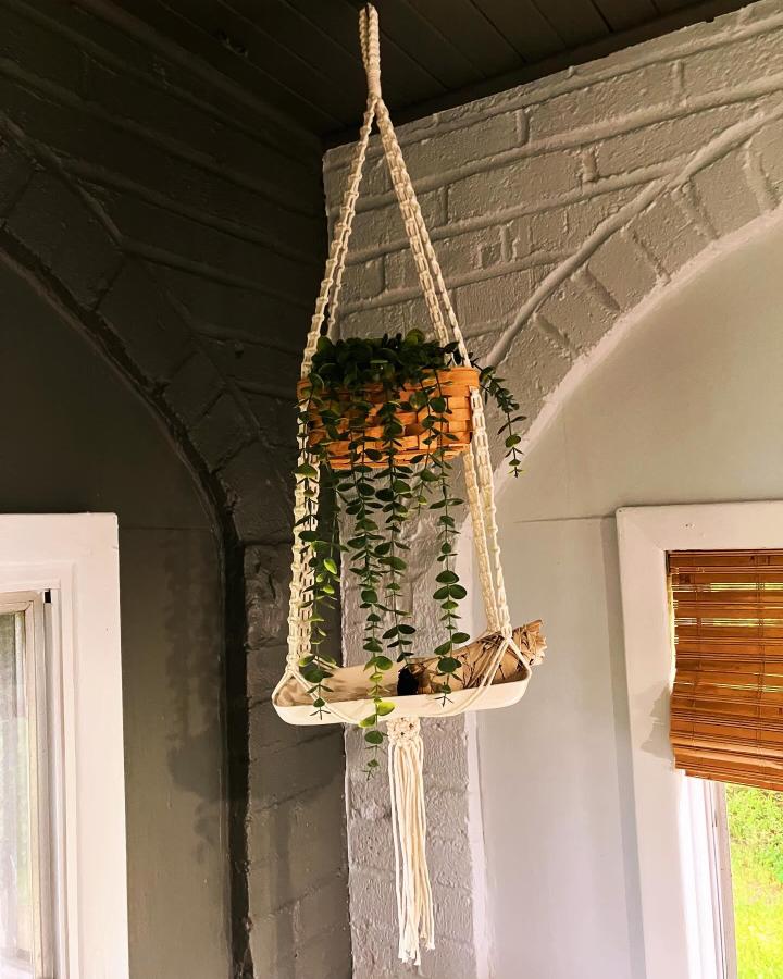 Cream cotton macramé plant hanger from @pigeonpawcle. Terracotta pot and trailing greenery frame a bright window.